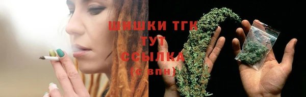 прущие грибы Алексеевка